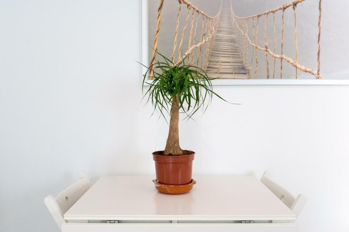 Ml1C-Prime Location Marble Apartment With Patios Málaga Eksteriør billede