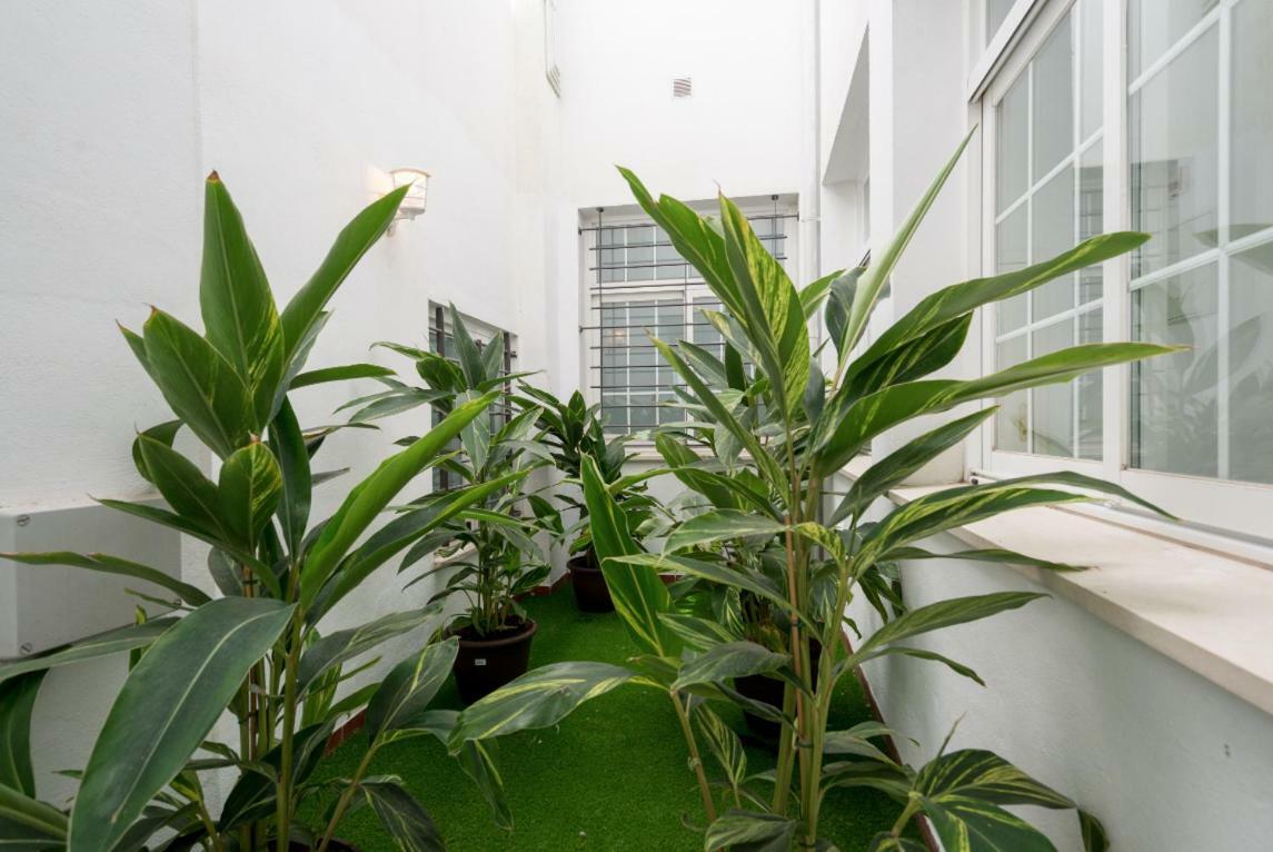 Ml1C-Prime Location Marble Apartment With Patios Málaga Eksteriør billede